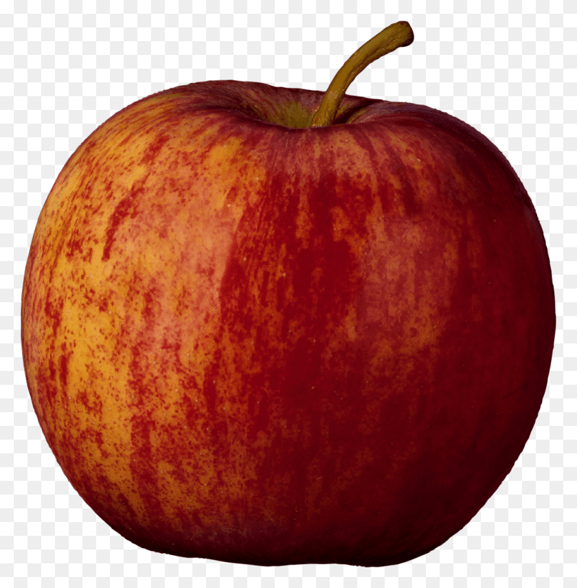 1003x1024 Apple Vector Yabloko Kartinka Dlya Detej, Plant, Fruit, Food HD PNG Download