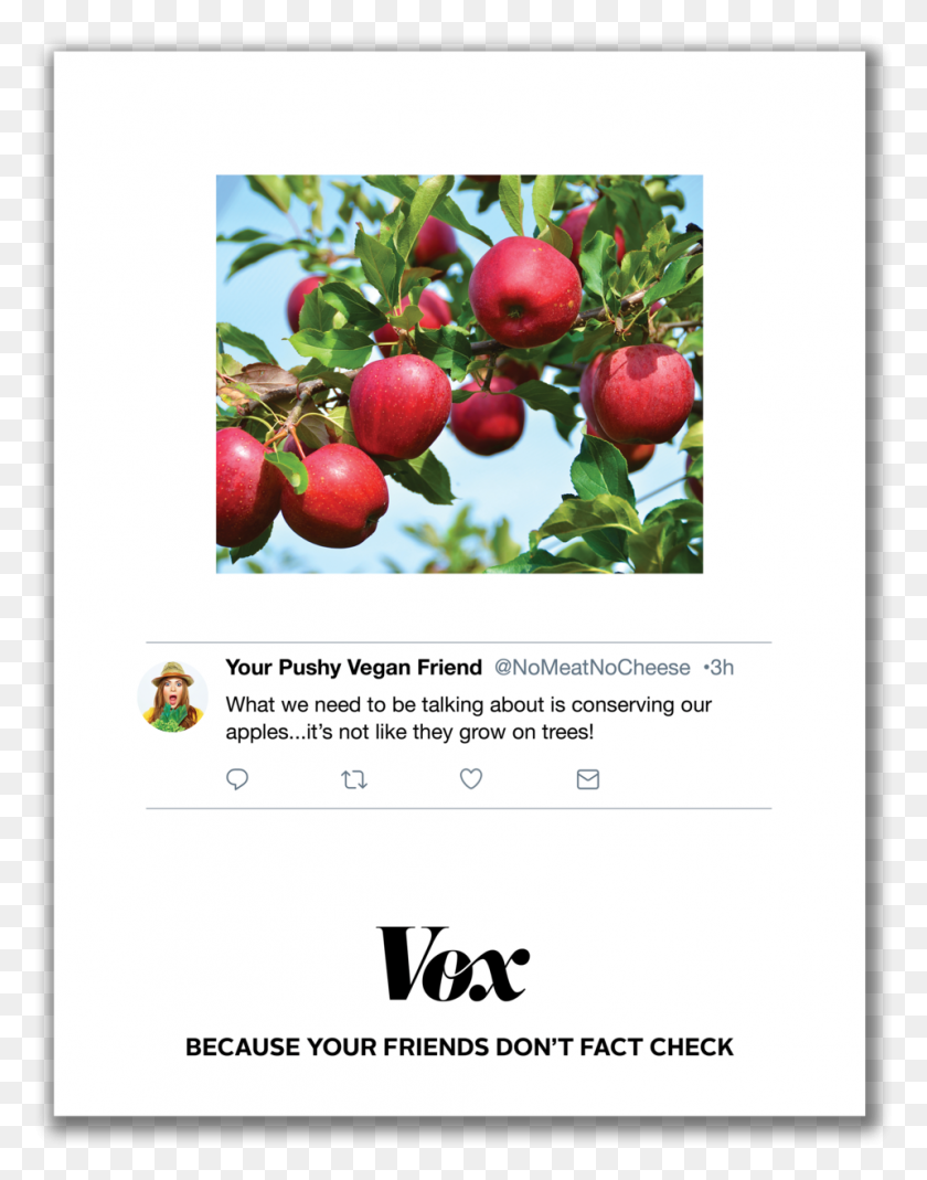 959x1241 Apples Apple Ka Tree, Fruit, Plant, Food HD PNG Download