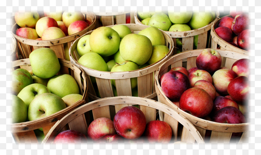 2400x1350 Apples Apple Picking HD PNG Download