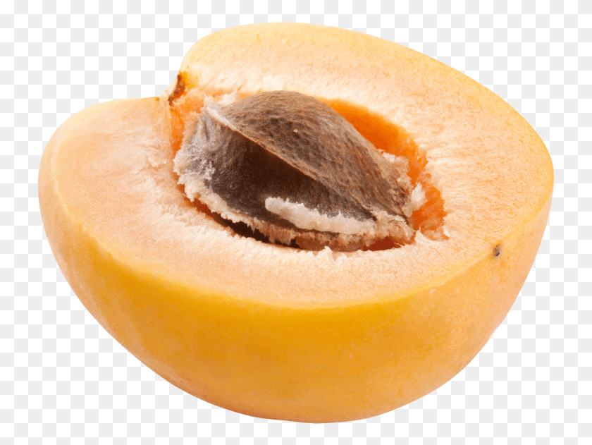 735x571 Apricot Apricot Kernel, Plant, Fruit, Food HD PNG Download