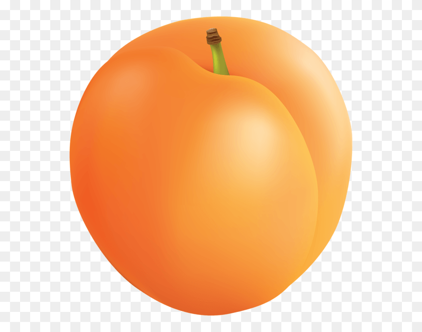 568x600 Apricot Clip Art Clipart Of A Apricot, Plant, Balloon, Ball HD PNG Download