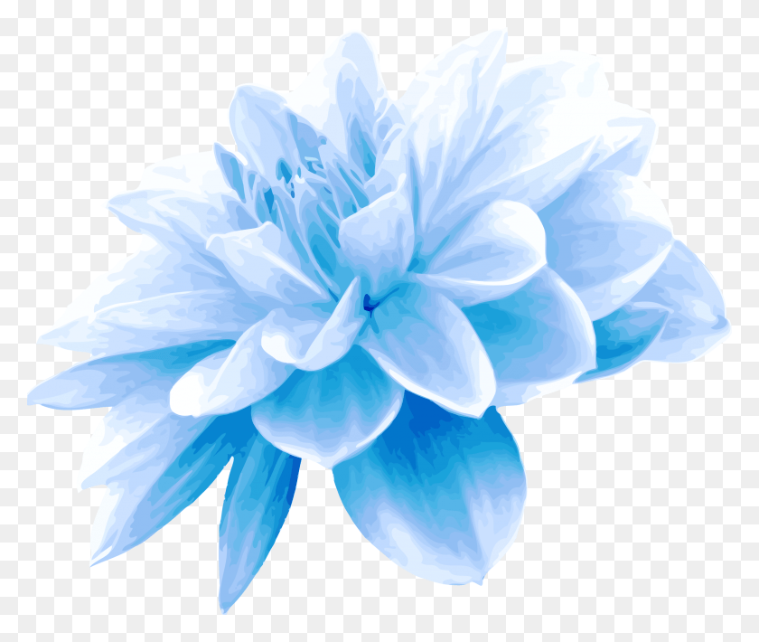 2400x2000 Aqua Blue Flower Blue Flowers Transparent, Plant, Dahlia, Flower HD PNG Download