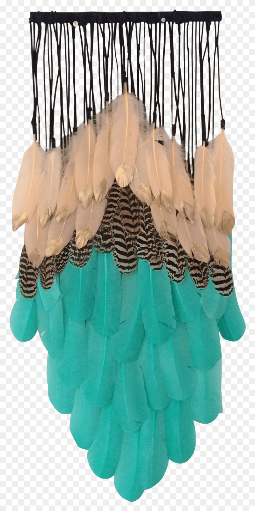 906x1880 Aqua Green Mottled Peacock Feathers Plus Peach Feathers, Clothing, Apparel, Animal HD PNG Download