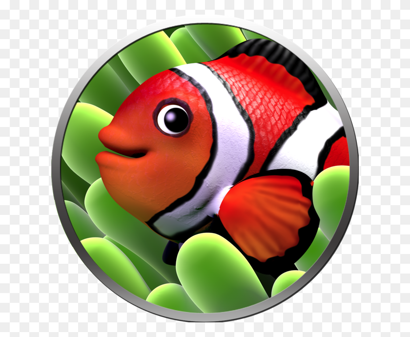 630x630 Acuario, Peces, Animales, Amphiprion Hd Png