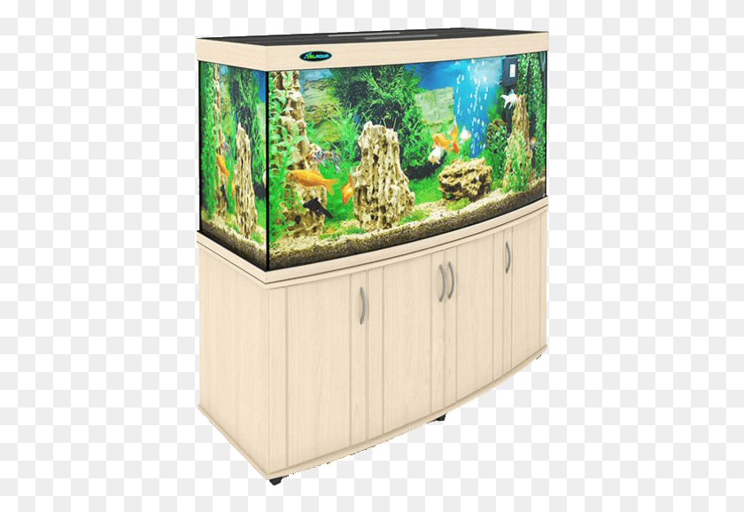 400x518 Aquarium Aquarium Lighting, Water, Sea Life, Animal HD PNG Download