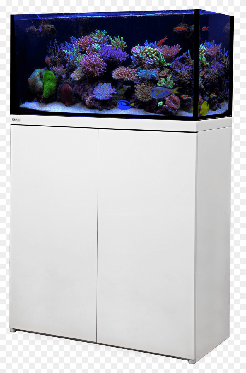1176x1831 Aquarium Systems Reef Octopus Lux, Water, Refrigerator, Appliance HD PNG Download