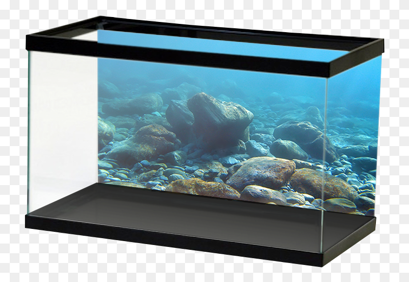 740x519 Aquariumvinyl Aquarium Backgrounds Canada, Water, Screen, Electronics HD PNG Download