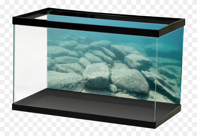 740x519 Aquariumvinyl Bigoleriverrocks Mirror Background Aquarium, Water, Sea Life, Animal HD PNG Download