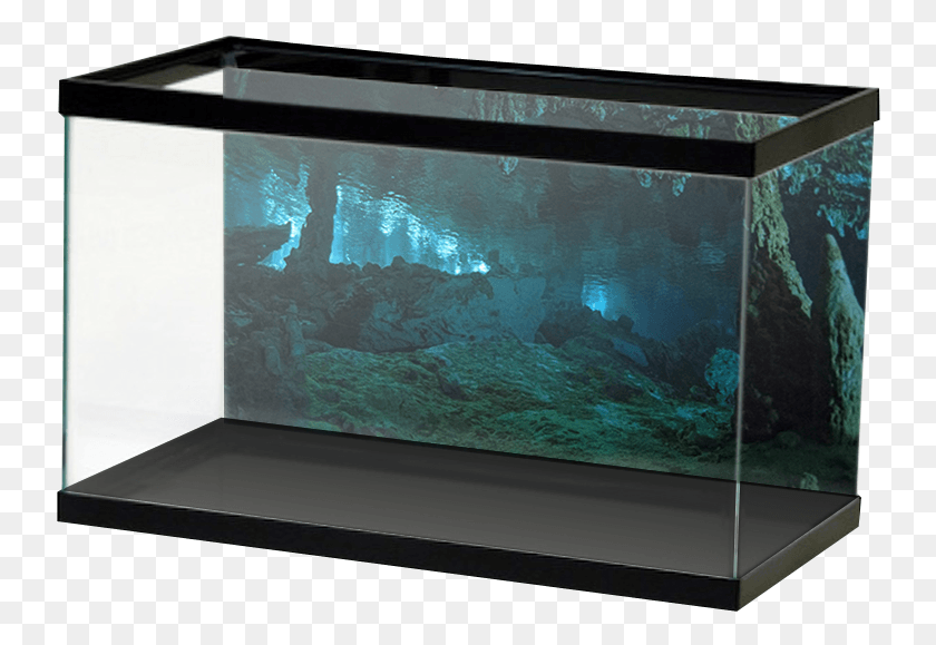 740x519 Aquariumvinyl Stalagmightcave, Water, Monitor, Screen HD PNG Download