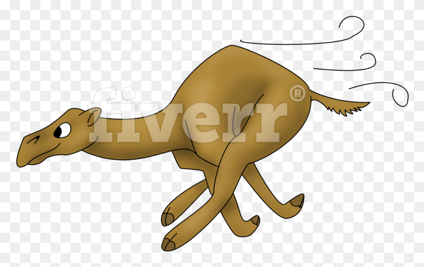 1001x601 Аравийский Верблюд, Животное, Кенгуру, Млекопитающее Hd Png Скачать