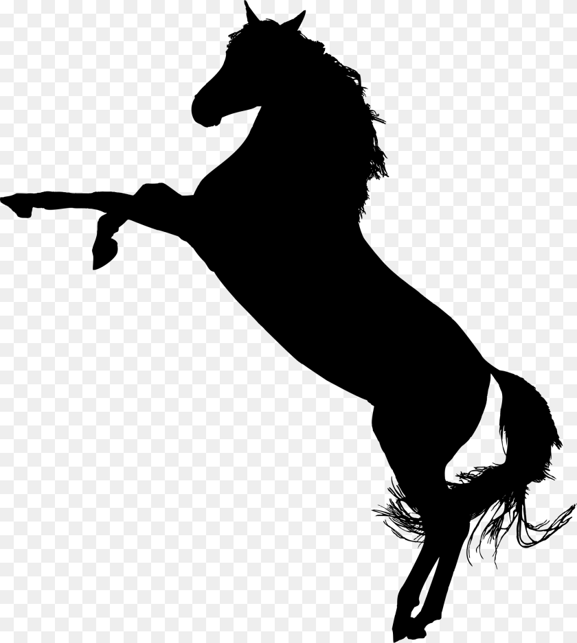 2028x2262 Arabian Horse Silhouette Horse On Hind Legs Silhouette, Gray Sticker PNG