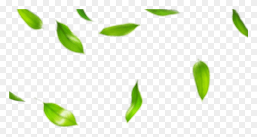 1439x718 Натуральные Пюре Araza Обеспечивают Удивительно Вкусные Плоды, Зеленые, Растения, Лист Hd Png Скачать