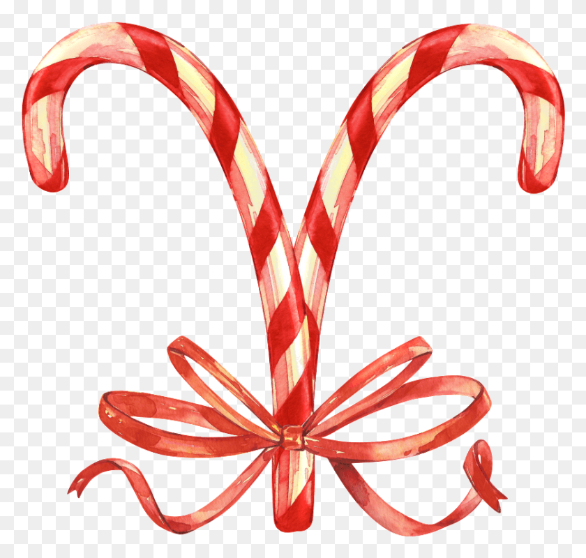 837x795 Descargar Png Arbol De Navidad Muleta Colgante Transparente Vintage Candy Cane Illustration, Stick, Amaryllis, Flower Hd Png