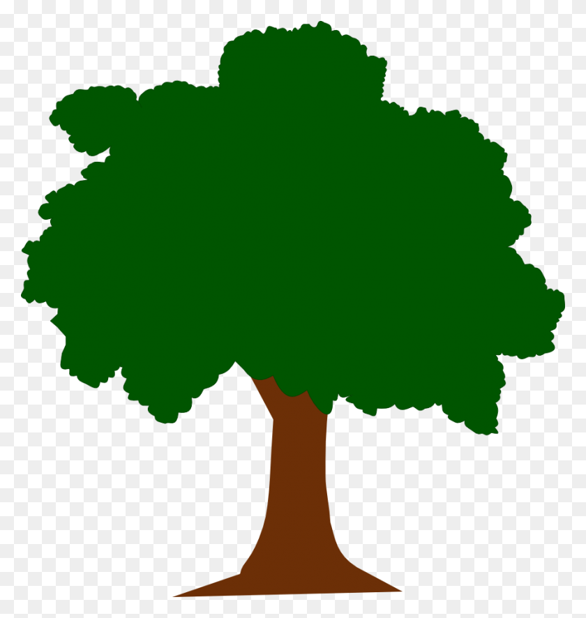 892x945 Арбол Иллюстрация, Дерево, Растение, Лист Hd Png Скачать