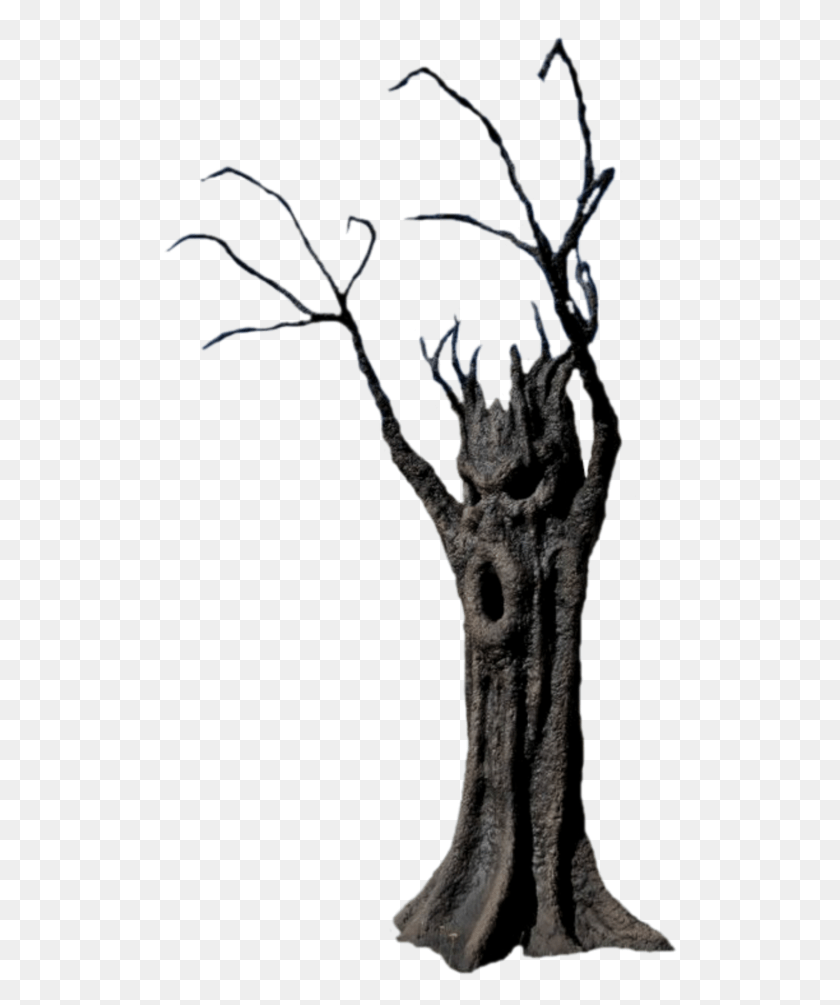 515x945 Arbol Tree Terror Tronco Spooky Arbol De Terror, Природа, На Открытом Воздухе, Растение Hd Png Скачать