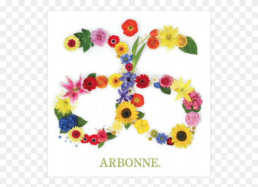 539x549 Arbonne Logo Arbonne Marketing, Floral Design, Pattern, Graphics HD PNG Download