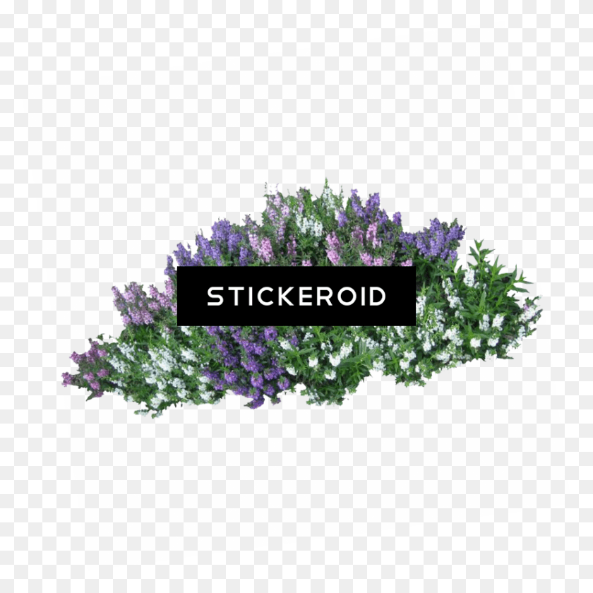 830x831 Arbustos Para Renders Flower Bed, Plant, Blossom, Tree HD PNG Download