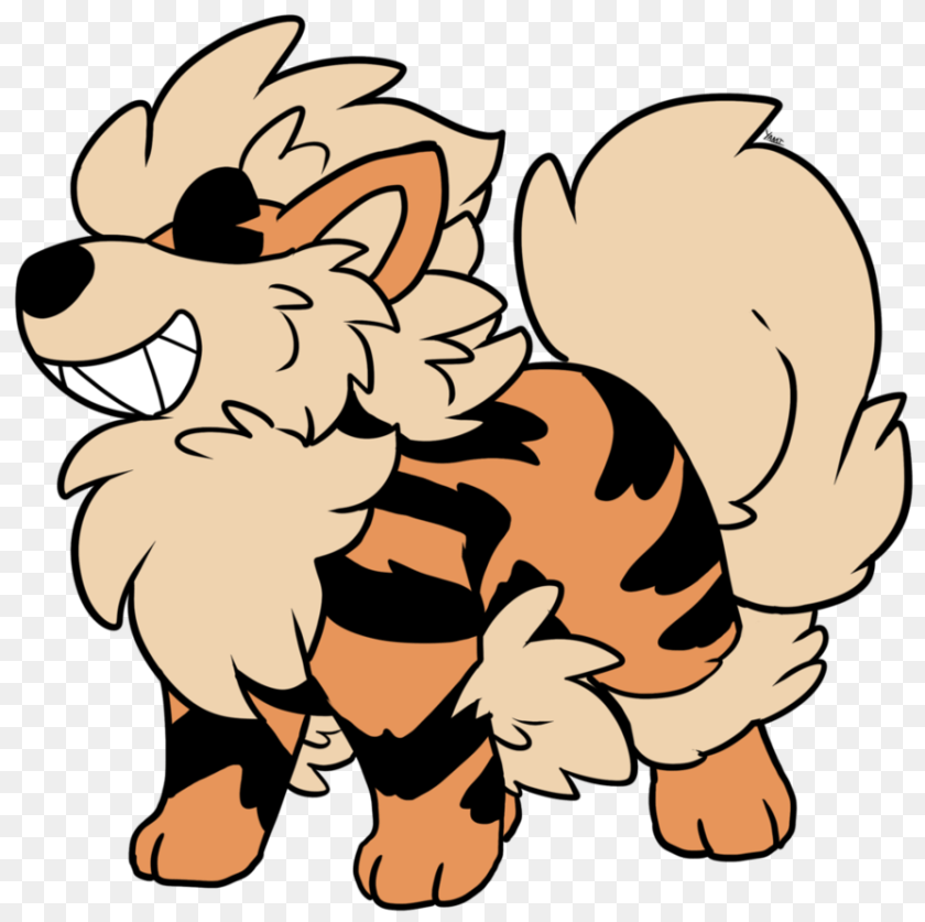 895x892 Arcanine, Baby, Person, Cartoon, Face PNG