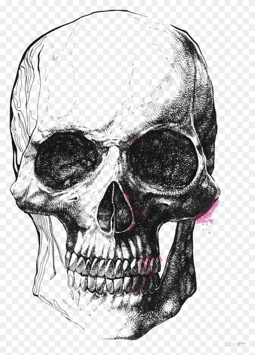 857x1217 Archaeology Drawing Female Skull Skull, Alien, Skeleton, Person HD PNG Download