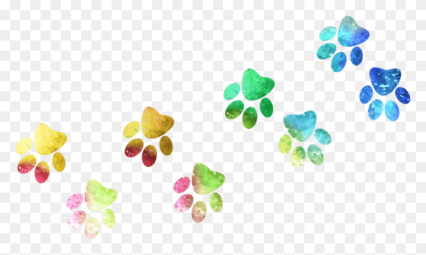 940x534 Arco Iris Sweet Lime Fizz Floral Design, Leaf, Plant, Crystal HD PNG Download