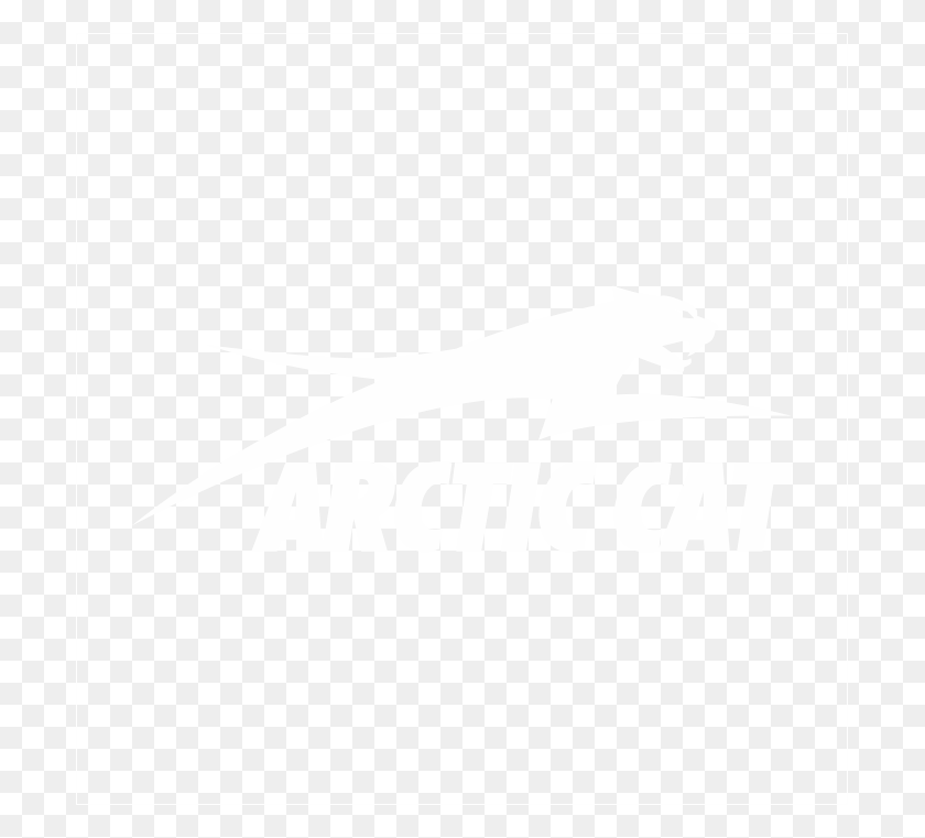 701x701 Arctic Cat Decal Arctic Cat, Face, White, Texture HD PNG Download