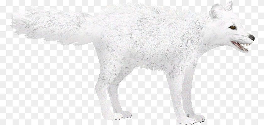 Arctic Fox Winter Arctic Fox Zoo Tycoon, Animal, Canine, Dog, Mammal PNG