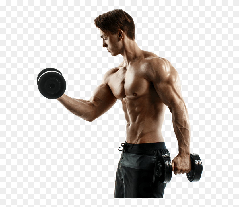 586x667 Are All Trainers Certified Bodybuilding, Person, Human, Fitness HD PNG Download
