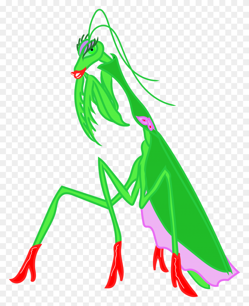 3870x4827 ¿Eres Una Mujer Fatal Como Esta Mantis Religiosa Hacer Ilustración, Animal, Invertebrado, Insecto Hd Png Descargar