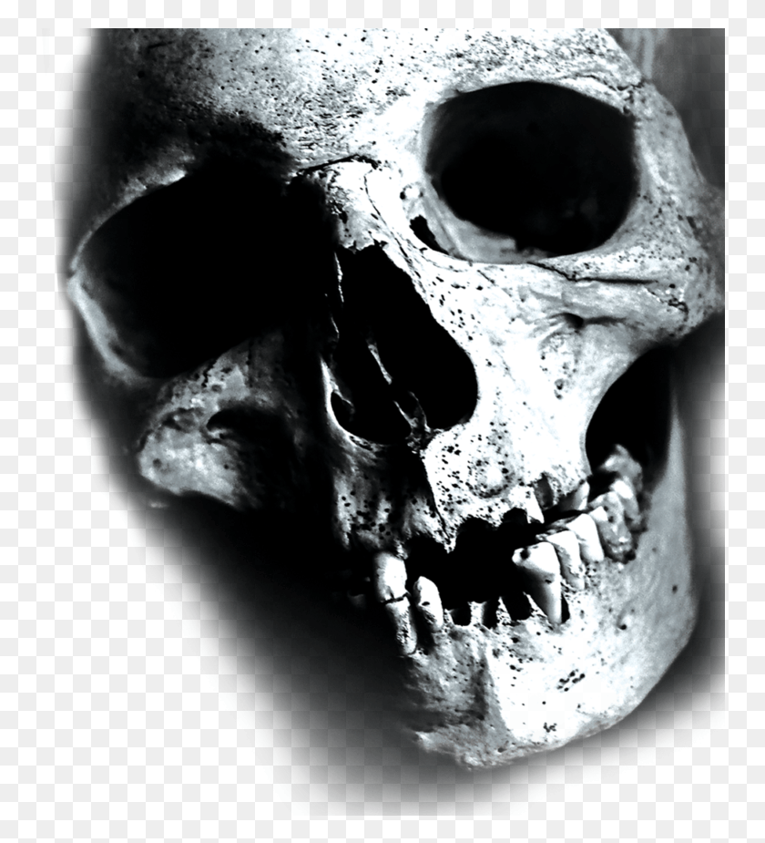 752x865 Are You Ready Skull, Jaw, Head, Person HD PNG Download