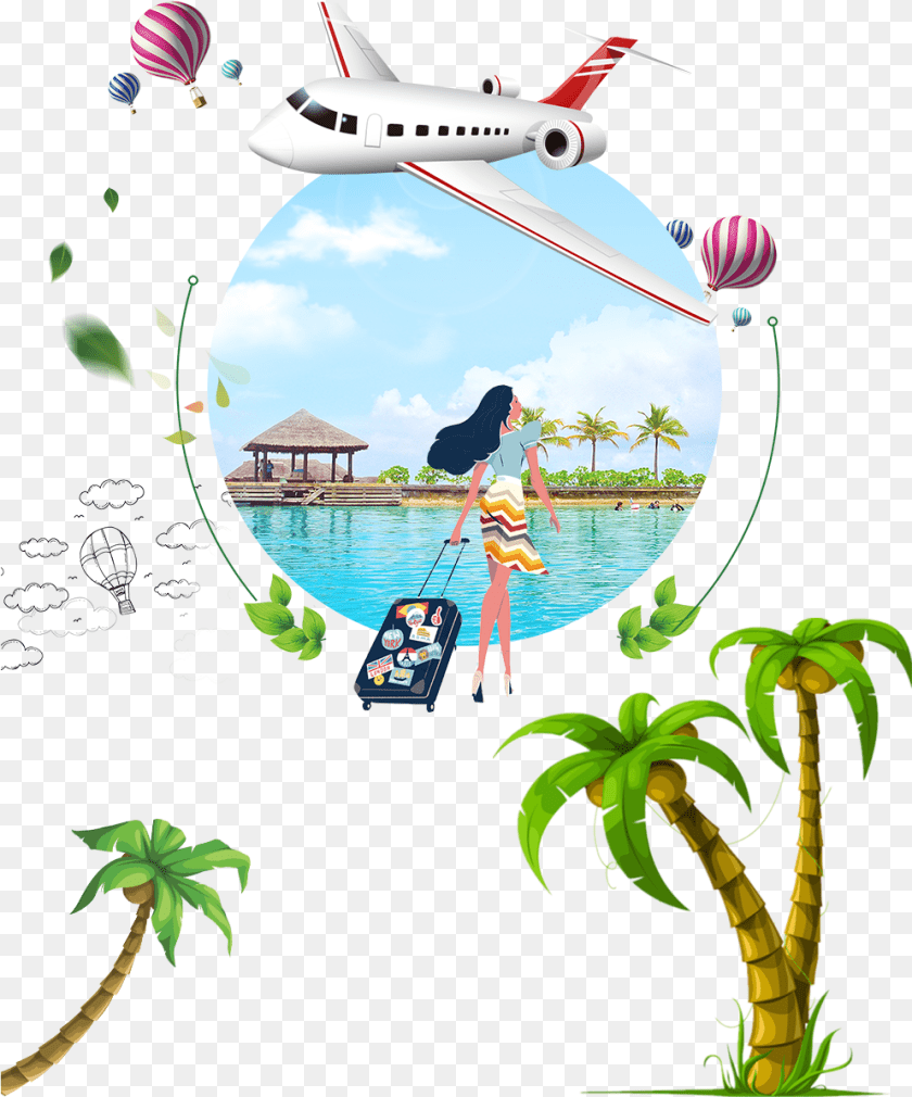 Arecaceae Coconut Euclidean Tree, Photography, Adult, Person, Woman PNG