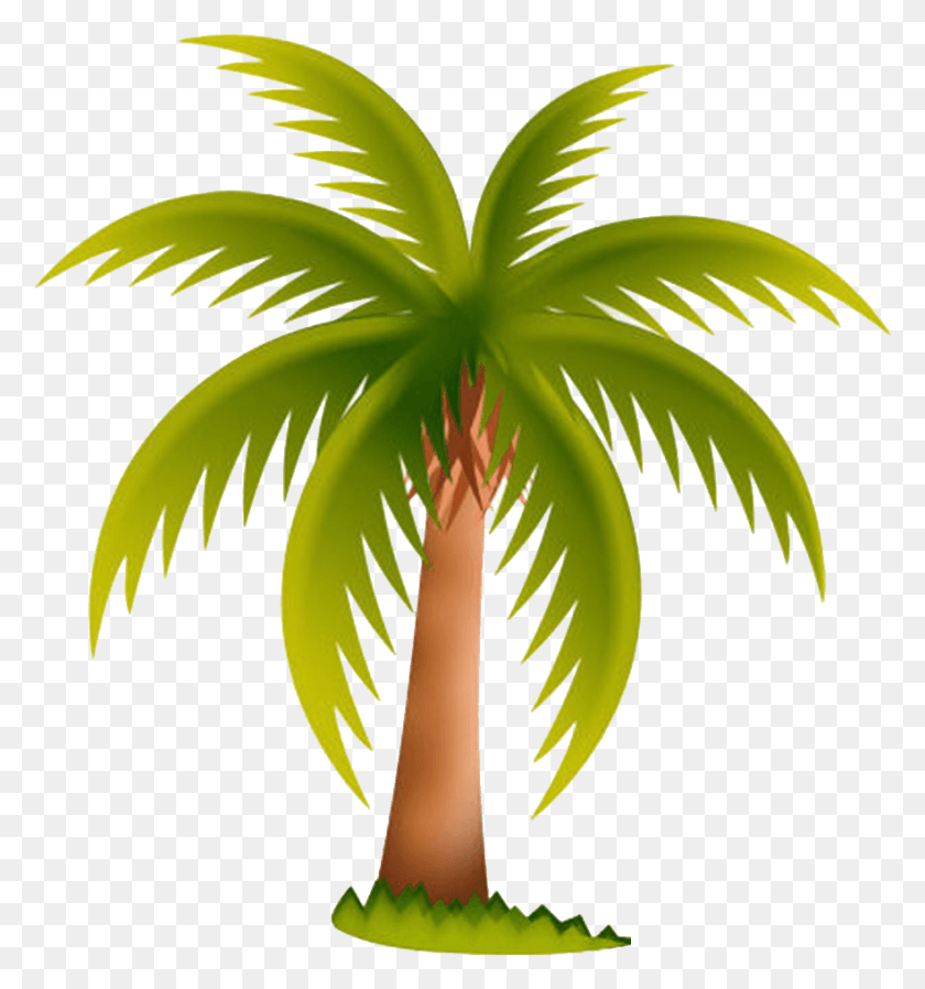 882x948 Arecaceae Date Palm Tree Clip Art Palm Oil Tree Clip Art, Plant HD PNG Download