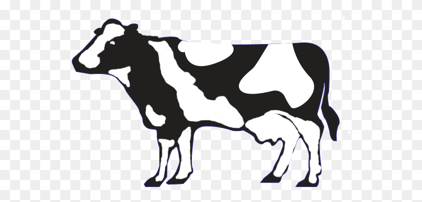 556x344 Аретуса Алек Зеленая Молочная Корова, Крупный Рогатый Скот, Млекопитающее, Животное Hd Png Скачать