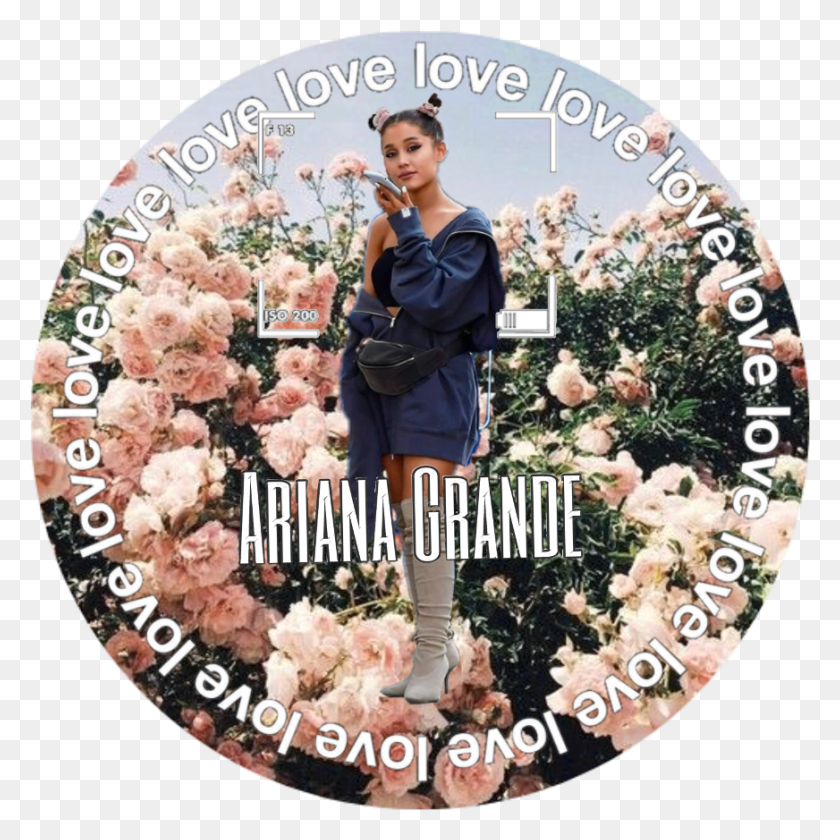 872x872 Ariana Tumblur Sticker Arianagrande Pink Rose Aesthetic, Person, Human, Poster HD PNG Download