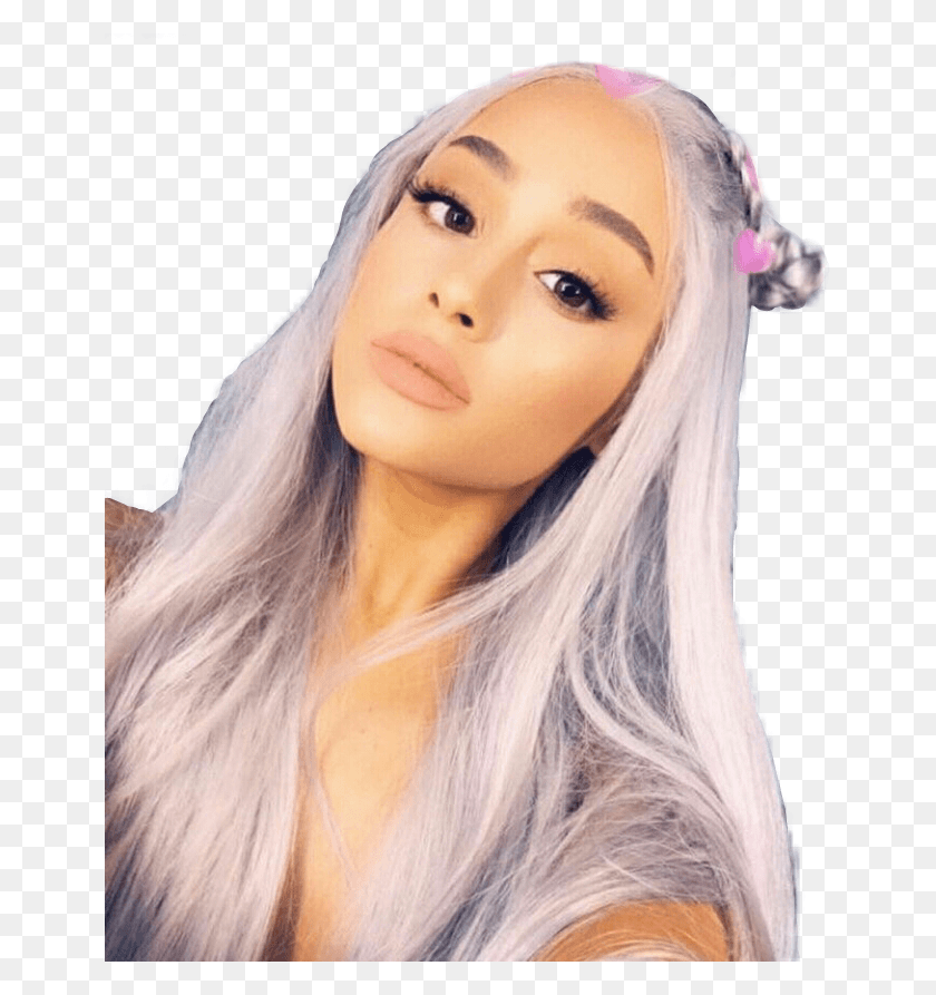 651x833 Arianagrande Makeupartist Makeup Pink Tumblr Aesthetic Ariana Grande New Grey Hair, Face, Person, Human HD PNG Download