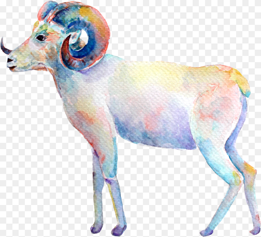 955x868 Aries New Moon Zazzle Aquarell Widder Ram Iphone 87 Hlle, Livestock, Animal, Mammal, Antelope Sticker PNG