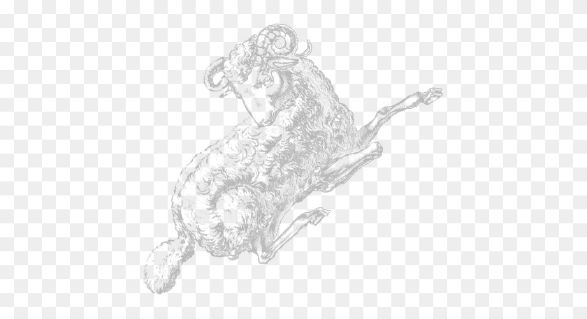 440x397 Aries Sketch, Dog, Pet, Canine HD PNG Download