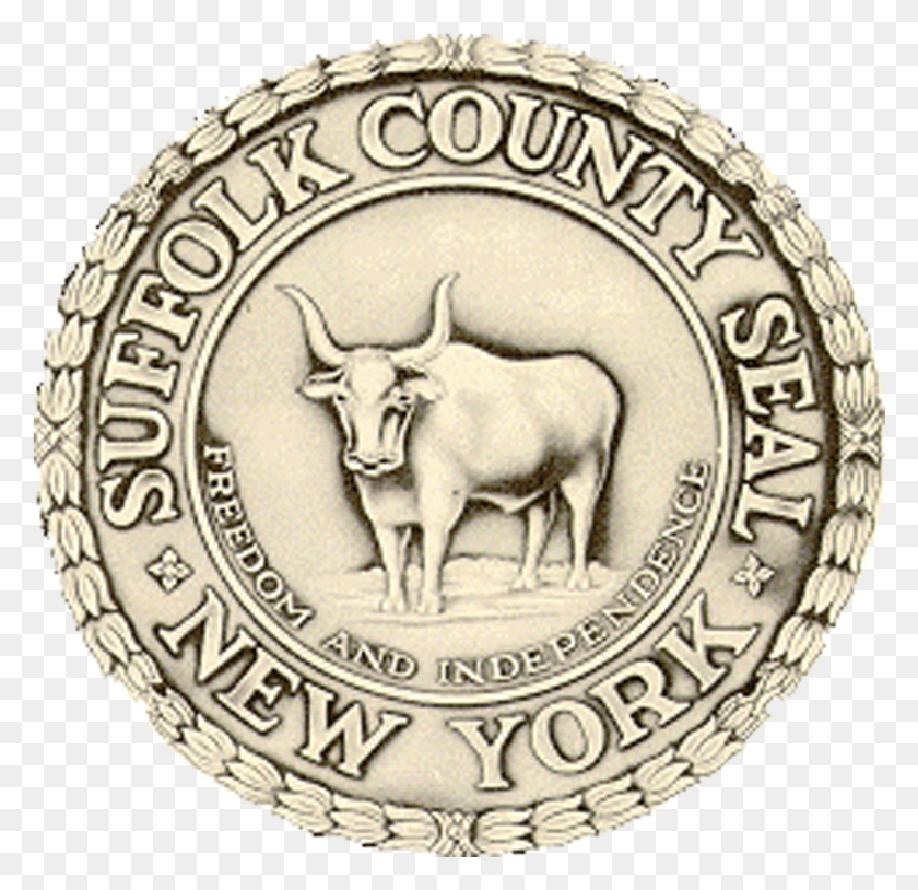1025x991 Arizona Team Suffolk County New York Logo, Label, Text, Antelope HD PNG Download
