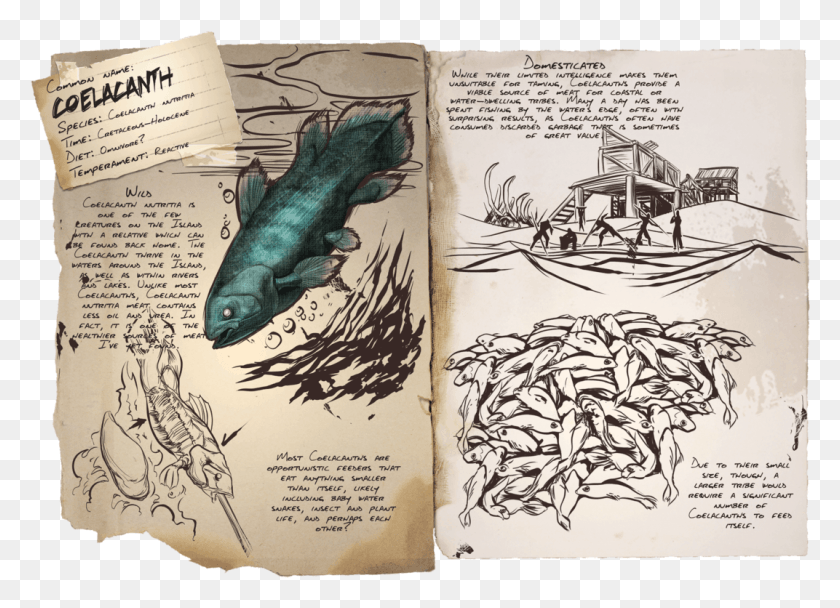 1072x754 Ark Survival Evolved Fish, Text, Bird, Animal Hd Png