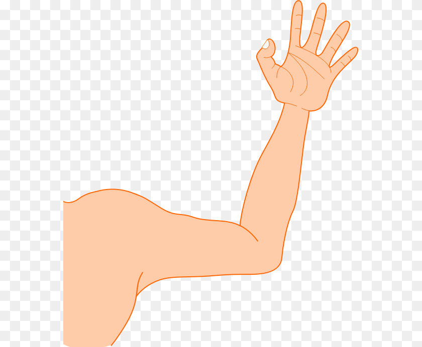 Arm Clipart Clipart Arms, Body Part, Person, Adult, Clothing Transparent PNG