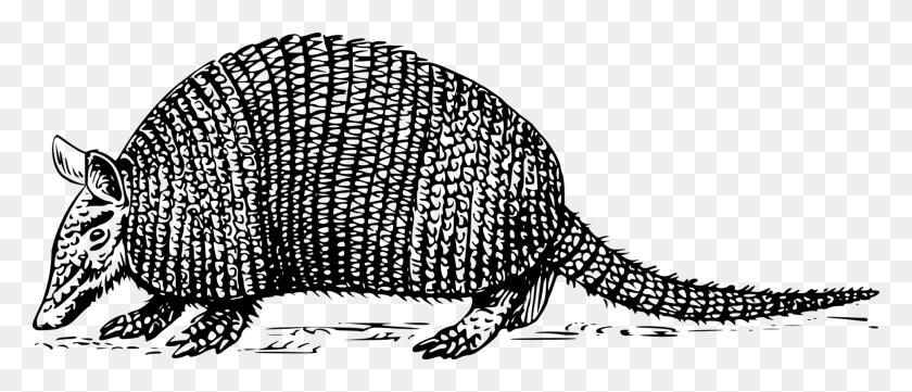 1938x750 Armadillo Anteater Sloth Drawing Computer Icons Armadillo Clipart Black And White, Gray, World Of Warcraft HD PNG Download