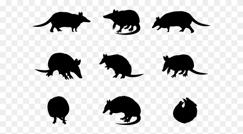 619x405 Armadillo Sillhaouttes Vector Silhouette, Gray, World Of Warcraft HD PNG Download