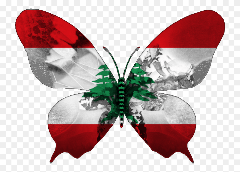734x544 Armenia Flag Butterfly, Plant, Vegetation, Nature HD PNG Download