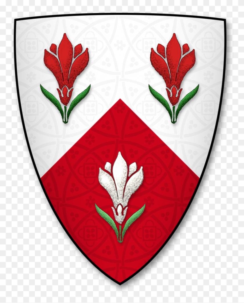 892x1122 Armorial Bearings Of The Lilly Family Of New Court Emblem, Armor, Shield HD PNG Download