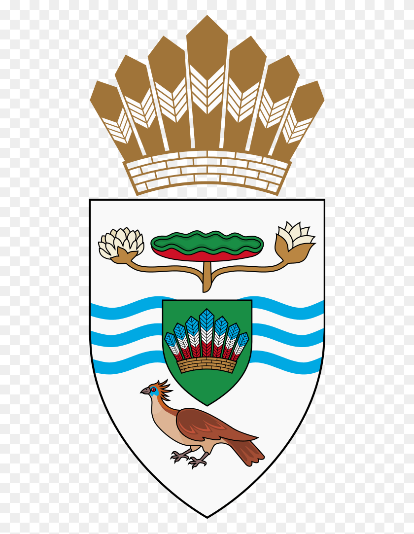 480x1023 Arms Of The President Of Guyana, Bird, Animal, Symbol HD PNG Download