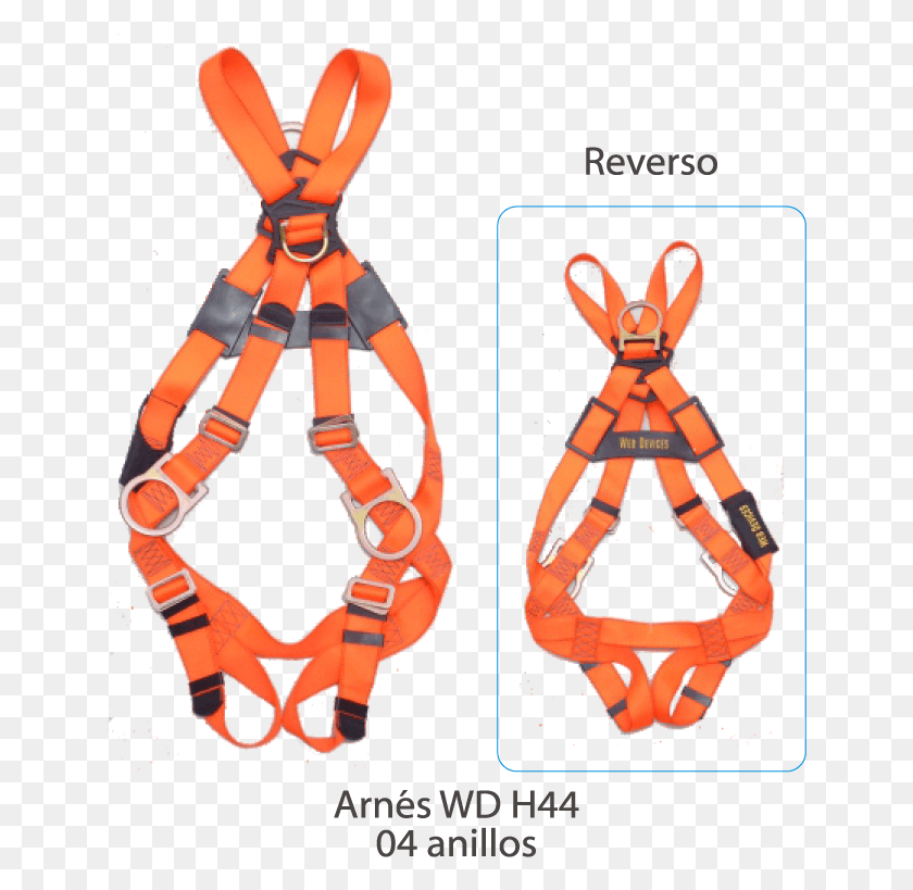 644x759 Arnes Wd H44 04 Anillos Baby Toys, Harness, Suspenders, Person HD PNG Download