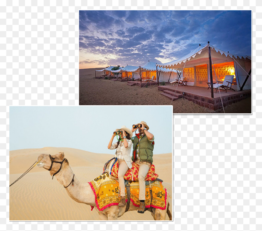 800x700 Descargar Png Arreglos En El Área De Acampar Y Disfrutar De Rajasthan Acampar En El Desierto, Persona, Humano, Mamífero Hd Png