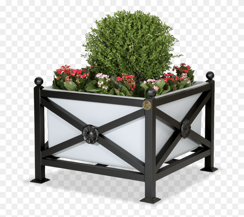 712x686 Descargar Png / Arredo Urbano, Planta En Maceta, Florero Hd Png