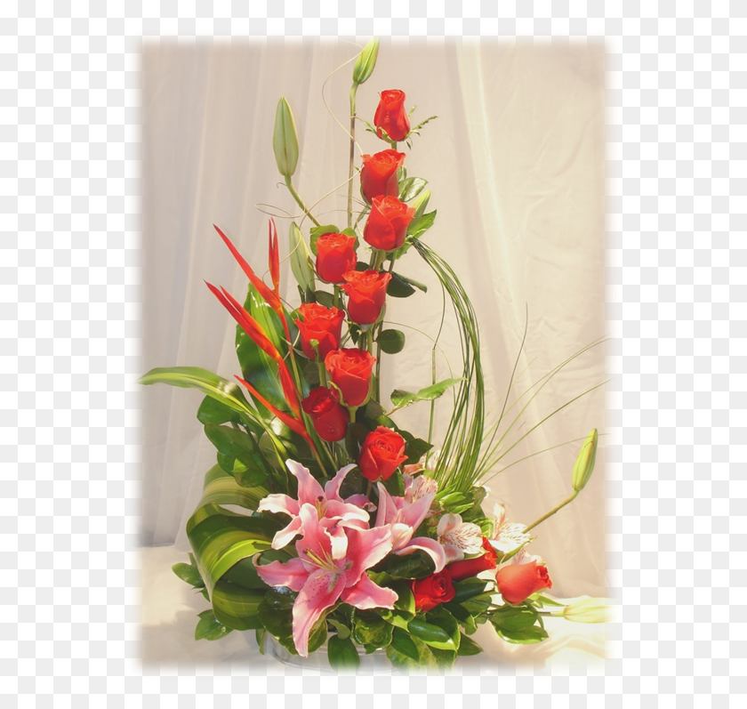 562x737 Arreglo Color Coral Ms Цветочный Дизайн, Растение, Цветок, Цветение Png Скачать