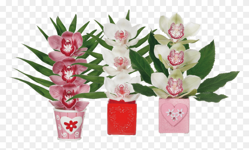 1081x619 Arreglo De Orqudeas Bouquet, Plant, Flower, Blossom HD PNG Download