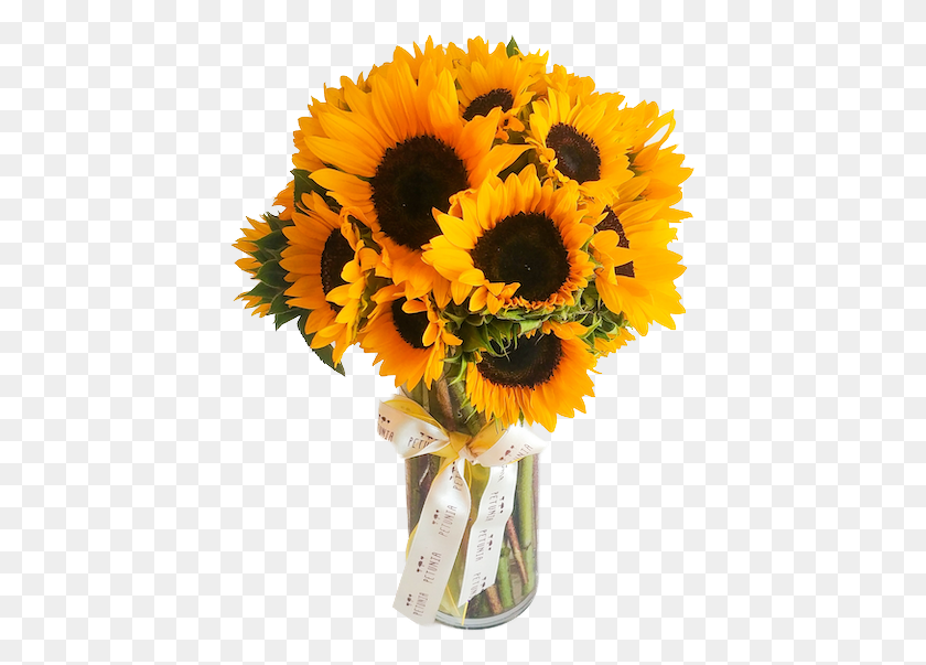 424x543 Arreglos De Girasoles En Jarron, Plant, Flower, Blossom HD PNG Download